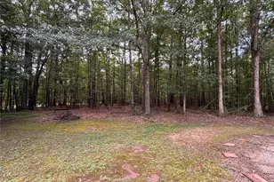 10992 Twelve Oaks Ct, Hampton, GA 30228 - Photo 27