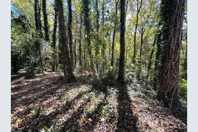 1060 De Leon Drive, Clarkston, GA 30021 - Photo 3