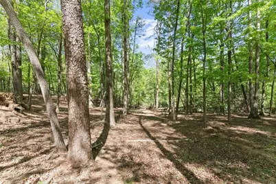 45 Holcomb Drive, Cleveland, GA 30528 - Photo 75