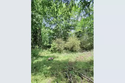 479 Sandtown, Cartersville, GA 30121 - Photo 19
