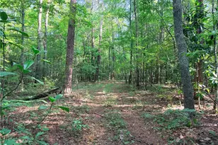 6394 Shore Dr, Douglasville, GA 30135 - Photo 7