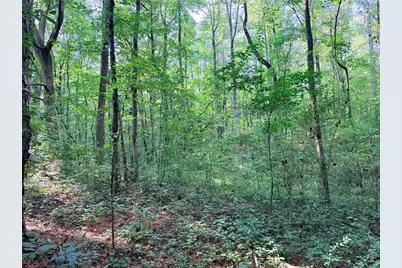 6394 Shore Drive, Douglasville, GA 30135 - Photo 17