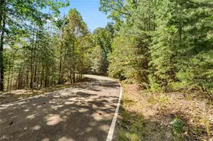 288 Blazingstar Trl, Big Canoe, GA 30143 - Photo 1