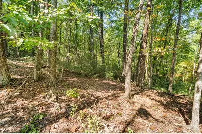 288 Blazingstar Trail, Big Canoe, GA 30143 - Photo 3