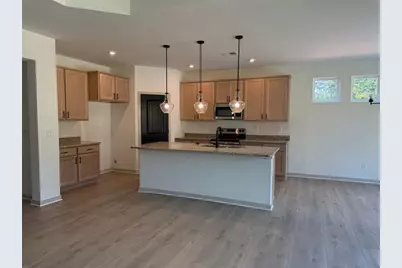 252 Sage Woods Way, Dallas, GA 30132 - Photo 3