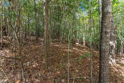 5626 Cool Springs Road, Gainesville, GA 30506 - Photo 45
