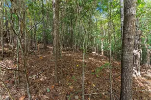 5626 Cool Springs Rd, Gainesville, GA 30506 - Photo 45