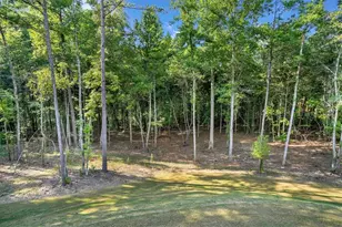 125 Longwood Dr, Fayetteville, GA 30215 - Photo 91