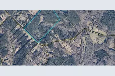 1458 Pitts Chapel Road, Newborn, GA 30056 - Photo 3