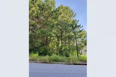203 Mary Hill Lane, Douglasville, GA 30134 - Photo 3
