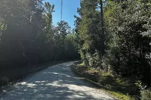 12345 Hamilton Rd, Palmetto, GA 30268 - Photo 1