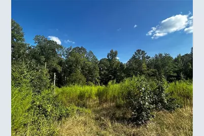 12345 Hamilton Road, Palmetto, GA 30268 - Photo 11
