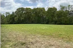 1325A Holland Dr, Byromville, GA 31007 - Photo 1