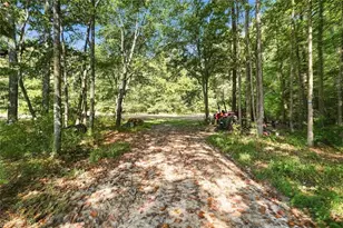 378 Ficklen Pl, Canton, GA 30114 - Photo 67