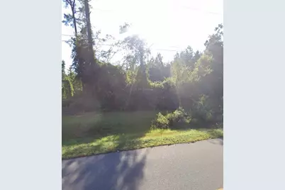 000 Willie Varnum Road, Dothan, AL 36301 - Photo 5