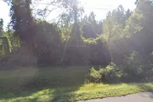 000 Willie Varnum Rd, Dothan, AL 36301 - Photo 5