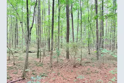 0 Rockmart Road, Villa Rica, GA 30180 - Photo 5