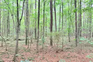 0 Rockmart Rd, Villa Rica, GA 30180 - Photo 5