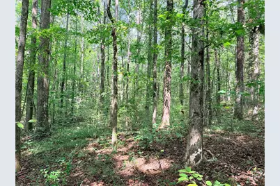 0 Rockmart Road, Villa Rica, GA 30180 - Photo 13