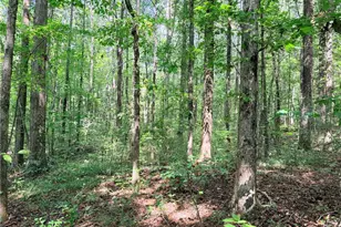 0 Rockmart Rd, Villa Rica, GA 30180 - Photo 13