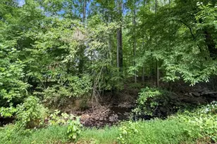 630 Mistflower Dr, Acworth, GA 30102 - Photo 55