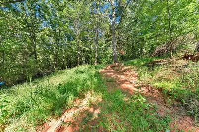 375 Mountain Crest Drive, Clarkesville, GA 30523 - Photo 9