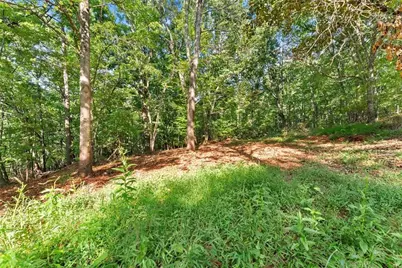 375 Mountain Crest Drive, Clarkesville, GA 30523 - Photo 11