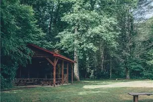 357 Mystic Ln, Blue Ridge, GA 30513 - Photo 53