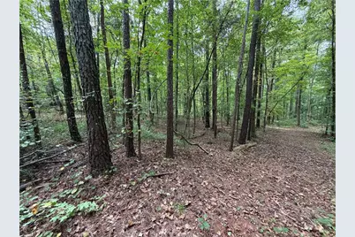 301 Wolf Creek Place, Locust Grove, GA 30248 - Photo 5