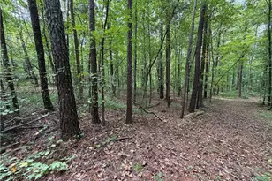301 Wolf Creek Pl, Locust Grove, GA 30248 - Photo 5