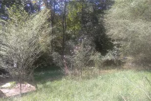 110 Mountainside Dr, Dawsonville, GA 30534 - Photo 3