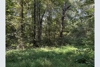6485 Forsyth Drive, Cumming, GA 30028 - Photo 15