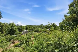 1823 Shoal Creek Rd, Clarkesville, GA 30523 - Photo 59