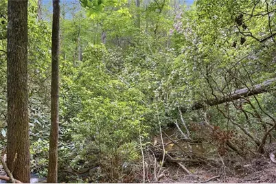 1823 Shoal Creek Rd, Clarkesville, GA 30523 - Photo 163