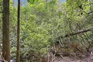 1823 Shoal Creek Rd, Clarkesville, GA 30523 - Photo 163