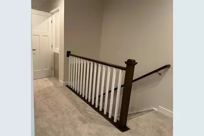 247 Salt Lake Lane, Hoschton, GA 30548 - Photo 9