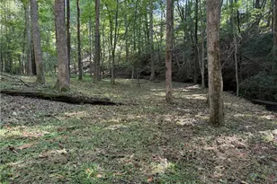 149 Hidden Creek Rd, Jasper, GA 30143 - Photo 73