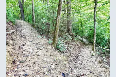 1275 Marie Drive, Talking Rock, GA 30175 - Photo 67