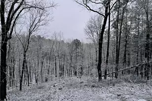 1275 Marie Dr, Talking Rock, GA 30175 - Photo 63