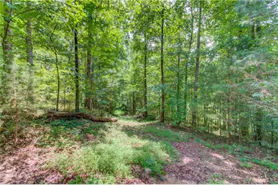 1345 Chandler Road, Lawrenceville, GA 30045 - Photo 71