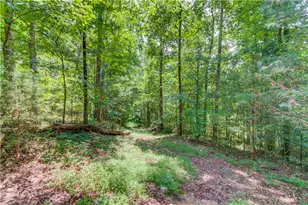 1345 Chandler Rd, Lawrenceville, GA 30045 - Photo 71