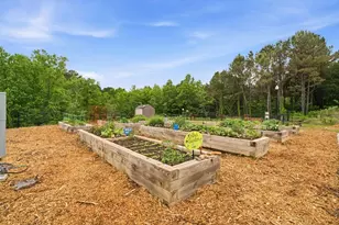 167 Mountain Blvd, Jasper, GA 30143 - Photo 35