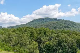 1538 Greenfield Rd, Ellijay, GA 30536 - Photo 63
