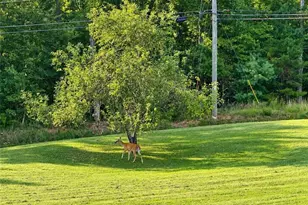 1538 Greenfield Rd, Ellijay, GA 30536 - Photo 5
