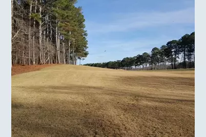 104 Hawks Court, Ball Ground, GA 30107 - Photo 3
