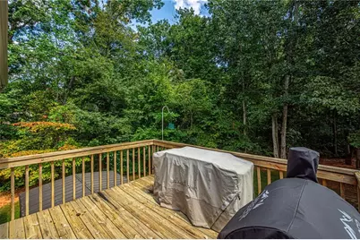 10 Patriot Trail, Dahlonega, GA 30533 - Photo 53