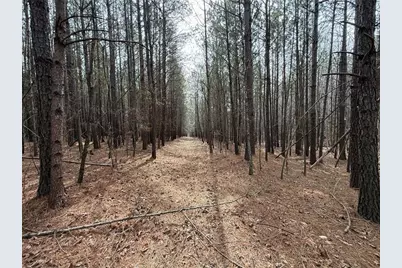 [Address not provided], Buford, GA 30519 - Photo 69