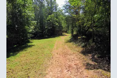 343 Hollybrook Road, Dahlonega, GA 30533 - Photo 1