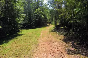 343 Hollybrook Rd, Dahlonega, GA 30533 - Photo 1