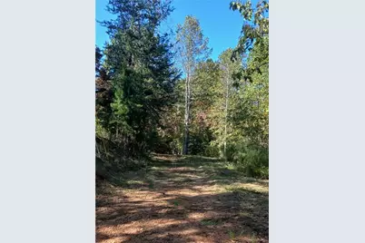 343 Hollybrook Road, Dahlonega, GA 30533 - Photo 11